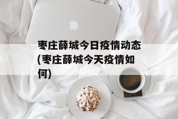 枣庄薛城今日疫情动态(枣庄薛城今天疫情如何)